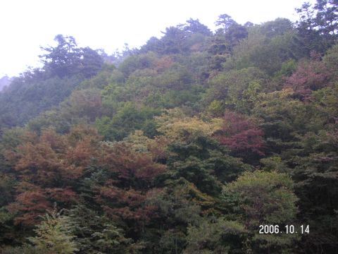 s_pict0027.jpg